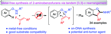 Graphical abstract: Synthesis of 2-aminobenzofurans via base-mediated [3 + 2] annulation of N-phenoxy amides with gem-difluoroalkenes