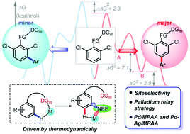Graphical abstract: Insight into the mechanism of the arylation of arenes via norbornene relay palladation through meta- to para-selectivity