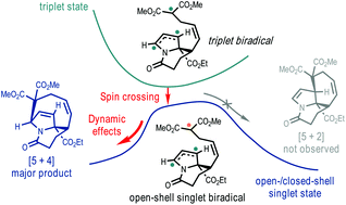 Graphical abstract: Post-spin crossing dynamics determine the regioselectivity in open-shell singlet biradical recombination