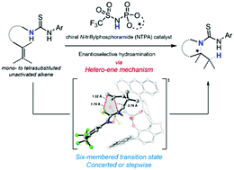 Graphical abstract: Chiral N-triflylphosphoramide-catalyzed asymmetric hydroamination of unactivated alkenes: a hetero-ene reaction mechanism