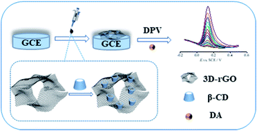 Graphical abstract: β-Cyclodextrin functionalized 3D reduced graphene oxide composite-based electrochemical sensor for the sensitive detection of dopamine