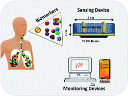 Graphical abstract: Socio-economic demands and challenges for non-invasive disease diagnosis through a portable breathalyzer by the incorporation of 2D nanosheets and SMO nanocomposites