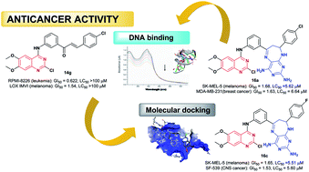 Graphical abstract: Anticancer activity of pyrimidodiazepines based on 2-chloro-4-anilinoquinazoline: synthesis, DNA binding and molecular docking