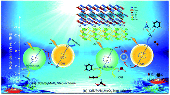 Graphical abstract: Construction of a novel step-scheme CdS/Pt/Bi2MoO6 photocatalyst for efficient photocatalytic fuel denitrification
