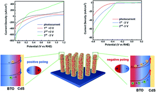 Graphical abstract: A significant enhancement of bulk charge separation in photoelectrocatalysis by ferroelectric polarization induced in CdS/BaTiO3 nanowires