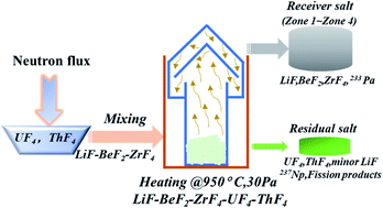 Graphical abstract: Evaporation behavior of 2LiF–BeF2–ZrF4 molten salt with irradiated nuclear fuel