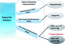 Graphical abstract: Systematic laboratory approach to produce Mg-rich carbonates at low temperature
