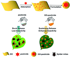 Graphical abstract: Formulation of nanopesticide with graphene oxide as the nanocarrier of pyrethroid pesticide and its application in spider mite control
