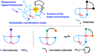 Graphical abstract: Rhodium(i) complexes derived from tris(isopropyl)-azaphosphatrane—controlling the metal–ligand interplay