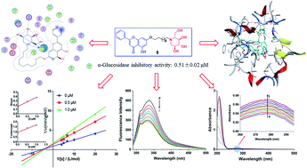 Graphical abstract: Chemical synthesis, inhibitory activity and molecular mechanism of 1-deoxynojirimycin–chrysin as a potent α-glucosidase inhibitor