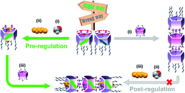 Graphical abstract: Pre-regulation of the planar chirality of pillar[5]arenes for preparing discrete chiral nanotubes
