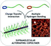 Graphical abstract: Tubular supramolecular alternating copolymers fabricated by cyclic peptide–polymer conjugates