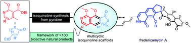 Graphical abstract: Assembly of multicyclic isoquinoline scaffolds from pyridines: formal total synthesis of fredericamycin A