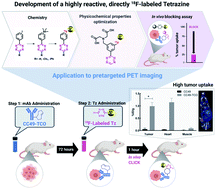 Graphical abstract: Direct Cu-mediated aromatic 18F-labeling of highly reactive tetrazines for pretargeted bioorthogonal PET imaging