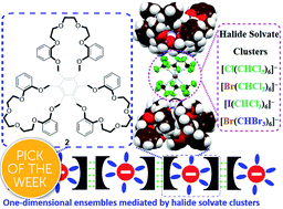 Graphical abstract: Trimacrocyclic hexasubstituted benzene linked by labile octahedral [X(CHCl3)6]− clusters