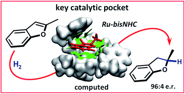 Graphical abstract: Unveiling a key catalytic pocket for the ruthenium NHC-catalysed asymmetric heteroarene hydrogenation