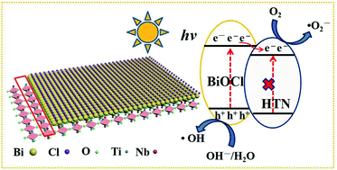 Graphical abstract: Layered BiOCl/H+TiNbO5− heterojunctions for boosting visible-light-driven photocatalytic RhB degradation