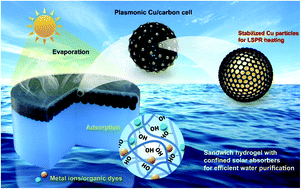 Graphical abstract: Sandwich hydrogel with confined plasmonic Cu/carbon cells for efficient solar water purification