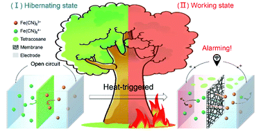 Graphical abstract: Heat-triggered high-performance thermocells enable a self-powered forest fire alarm