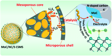 Graphical abstract: Enhancing polysulfide confinement and conversion in meso-/microporous core–shelled MoC/NC microspheres for lithium–sulfur batteries