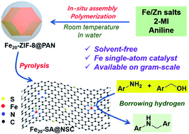 Graphical abstract: A Fe single atom on N,S-doped carbon catalyst for performing N-alkylation of aromatic amines under solvent-free conditions