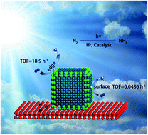 Graphical abstract: Quantifying the photocatalytic role and activity at the edge and surface of Pd co-catalysts using N2 fixation as a case