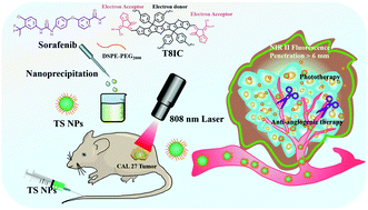 Graphical abstract: Novel NIR-II semiconducting molecule incorporating sorafenib for imaging guided synergetic cancer phototherapy and anti-angiogenic therapy