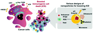 Graphical abstract: Rediscovery of nanoparticle-based therapeutics: boosting immunogenic cell death for potential application in cancer immunotherapy