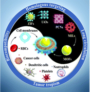 Graphical abstract: Recent advances in cell membrane coated metal–organic frameworks (MOFs) for tumor therapy
