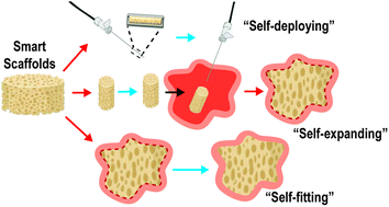 Graphical abstract: Smart scaffolds: shape memory polymers (SMPs) in tissue engineering
