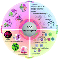Graphical abstract: Superoxide dismutase nanozymes: an emerging star for anti-oxidation