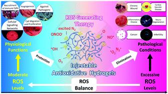 Graphical abstract: Reactive oxygen species (ROS): utilizing injectable antioxidative hydrogels and ROS-producing therapies to manage the double-edged sword