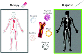Graphical abstract: Innovative nanotools for vascular drug delivery: the atherosclerosis case study