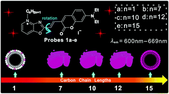 Graphical abstract: Viscosity sensitive endoplasmic reticulum fluorescent probes based on oxazolopyridinium