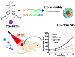 Graphical abstract: Ultra-high photoactive thiadiazolo[3,4-g]quinoxaline nanoparticles with active-targeting capability for deep photodynamic therapy