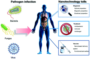 Graphical abstract: Nanomedicine as a promising strategy for the theranostics of infectious diseases