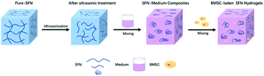 Graphical abstract: Injectable silk nanofiber hydrogels as stem cell carriers to accelerate wound healing