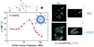 Graphical abstract: Mn(ii)-Conjugated silica nanoparticles as potential MRI probes