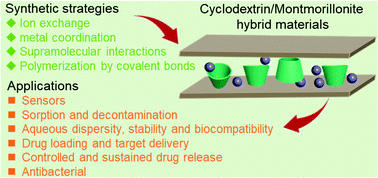 Graphical abstract: Bioapplication of cyclodextrin-containing montmorillonite