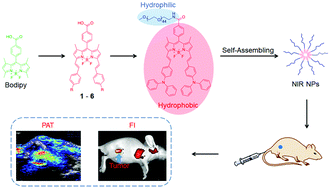 Graphical abstract: Facile synthesis of near-infrared bodipy by donor engineering for in vivo tumor targeted dual-modal imaging