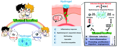 Graphical abstract: Microenvironment-responsive multifunctional hydrogels with spatiotemporal sequential release of tailored recombinant human collagen type III for the rapid repair of infected chronic diabetic wounds