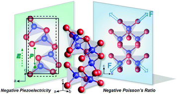 Graphical abstract: Intrinsic auxeticity and negative piezoelectricity in two-dimensional group-IV dipnictide monolayers with in-plane anisotropy