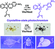 Graphical abstract: Photochromism of neutral spiropyran in the crystalline state at room temperature