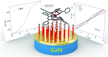 Graphical abstract: A series of counter cation-dependent tetra β-diketonate mononuclear lanthanide(iii) single-molecule magnets and immobilization on pre-functionalised GaN substrates by anion exchange reaction