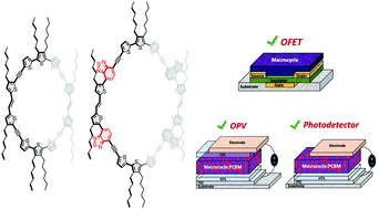Graphical abstract: New thiophene-based conjugated macrocycles for optoelectronic applications