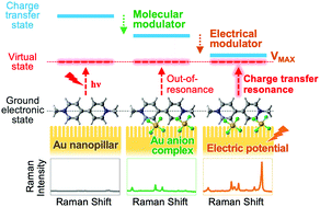 Graphical abstract: Dual synergistic modulation of photo-induced electron transfer processes between molecules and gold nanopillars for ultrasensitive plasmon-enhanced Raman scattering