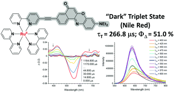 Graphical abstract: Exploring the dark: detecting long-lived Nile Red 3ILCT states in Ru(ii) polypyridyl photosensitisers