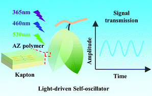 Graphical abstract: Light-driven autonomous self-oscillation of a liquid-crystalline polymer bimorph actuator