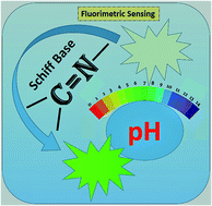 Graphical abstract: Schiff base compounds as fluorimetric pH sensor: a review