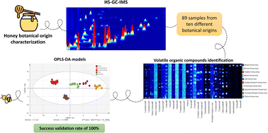 Graphical abstract: A non-targeted metabolomic strategy for characterization of the botanical origin of honey samples using headspace gas chromatography—ion mobility spectrometry